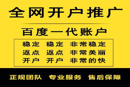 SEM竞价推广案例：打造行业领先的广告投放策略